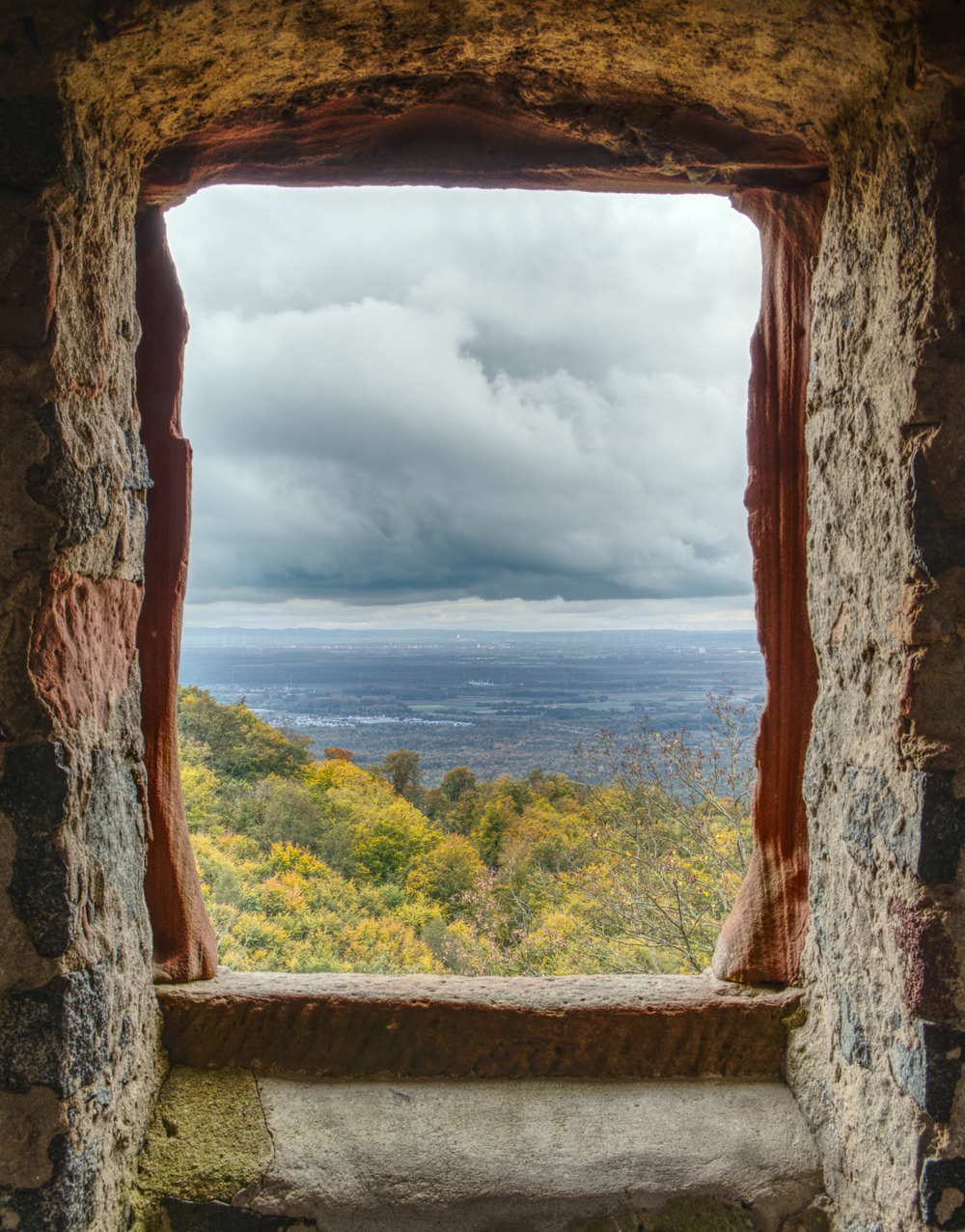 frankensteins_fenster_thumbnail.jpg